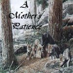 A Mothers Patience