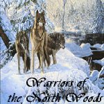 Warriors of the North Woods