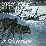Wolf Pack in Moonlight